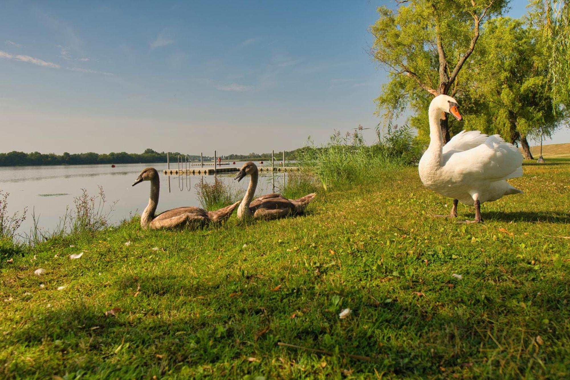 Tisza-To Apartmanpark Kisköre Exterior foto